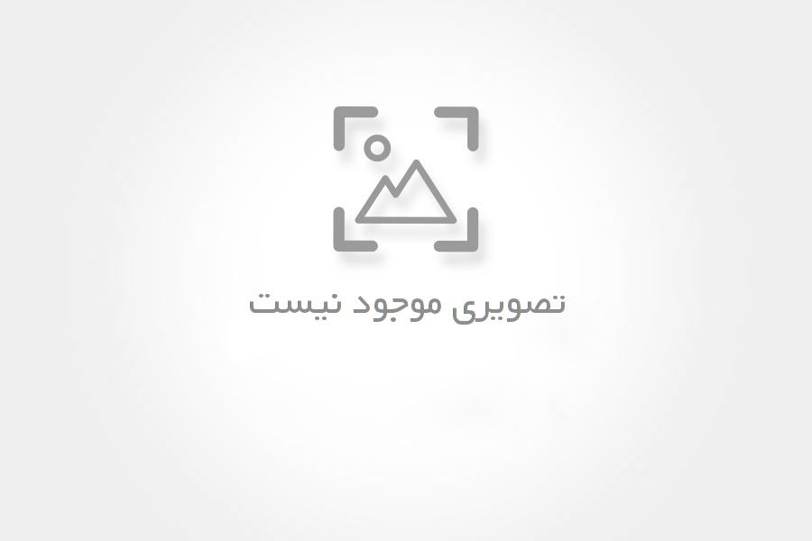 گربه ۱۰ ماهه ماده